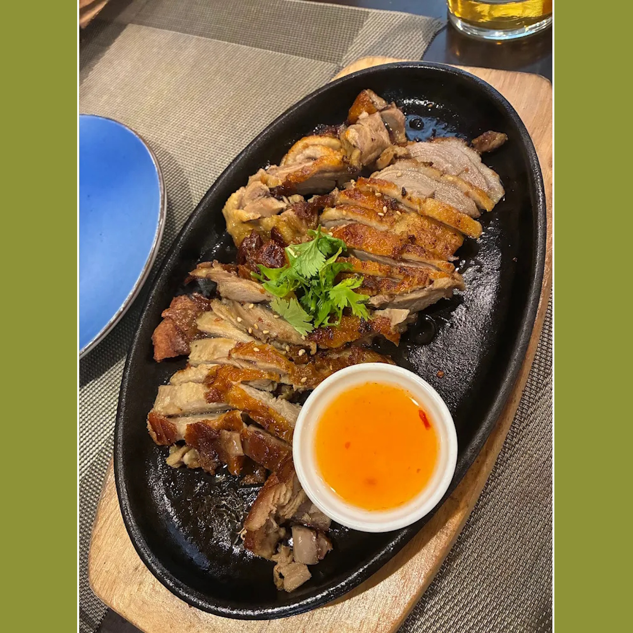 FOTO DESTACADA - PATO - ZENAIDA